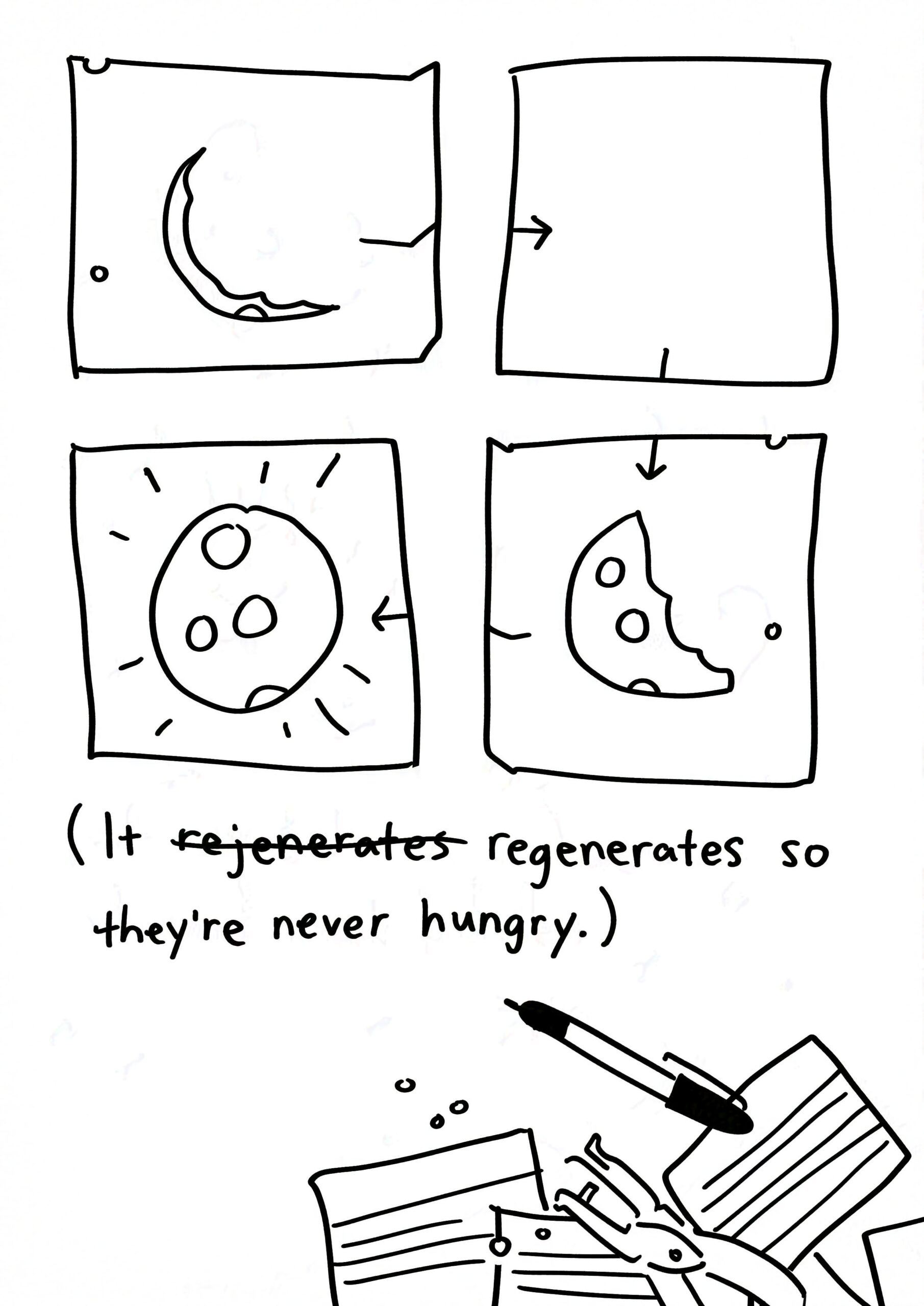 Four panels are a piece of paper cut into 4 rectangles. Panel 1: The moon as a very thin sliver with bite marks. Panel 2: Blank piece of paper. Panel 3: The moon at about half full again. Panel 4: Full moon with action lines. Text: (It regenerates so they're never hungry.) "rejenerates" is crossed out as a misspelling. Panel 5: Index cards that disappear into the corner of the page with a single hole puncher and an uncapped black marker.